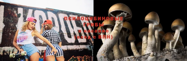 первитин Арсеньев